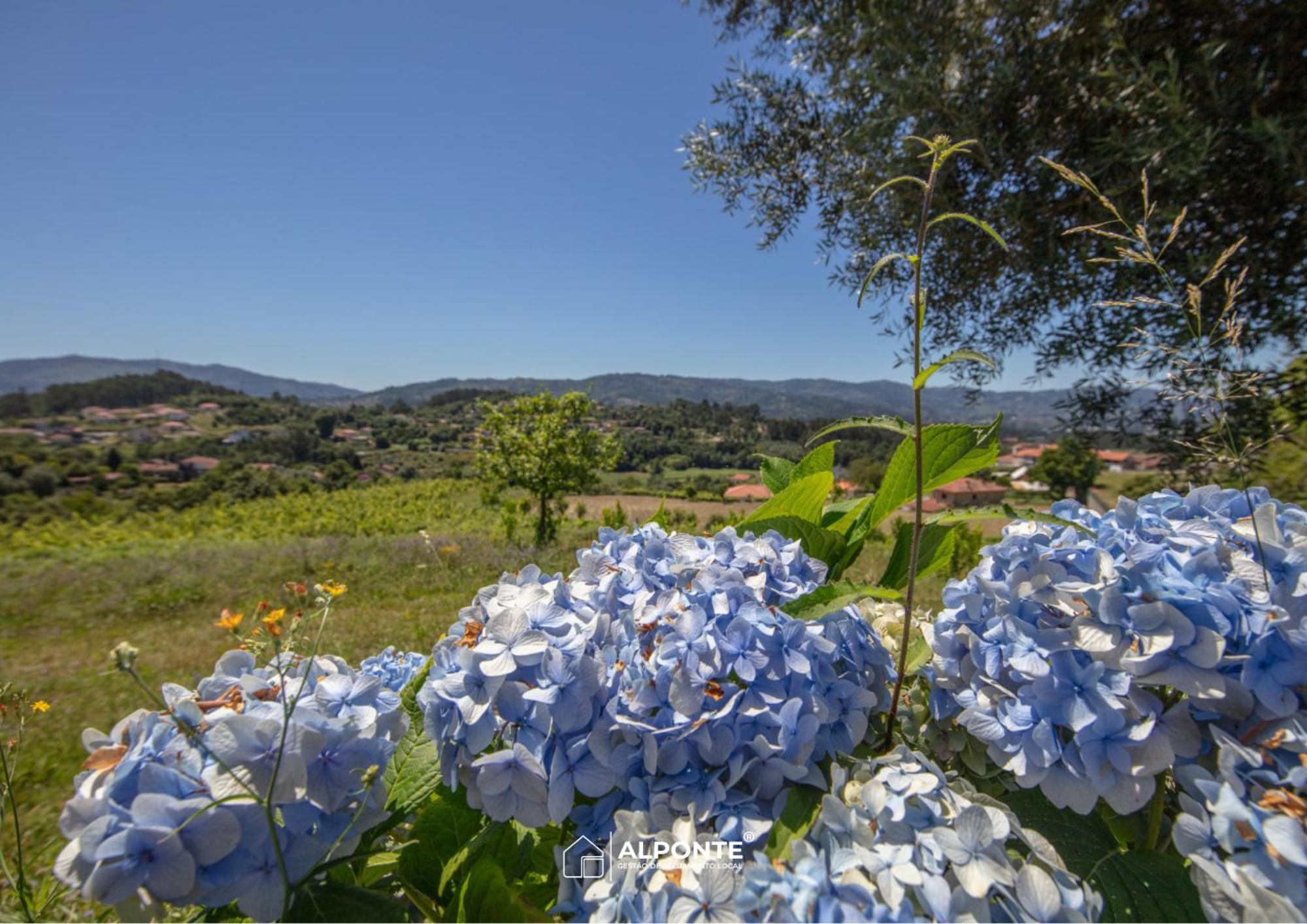 Quinta Da Costeira - Casa Azul Do Limoal By Alponte Villa Аркос де Валдевез Екстериор снимка