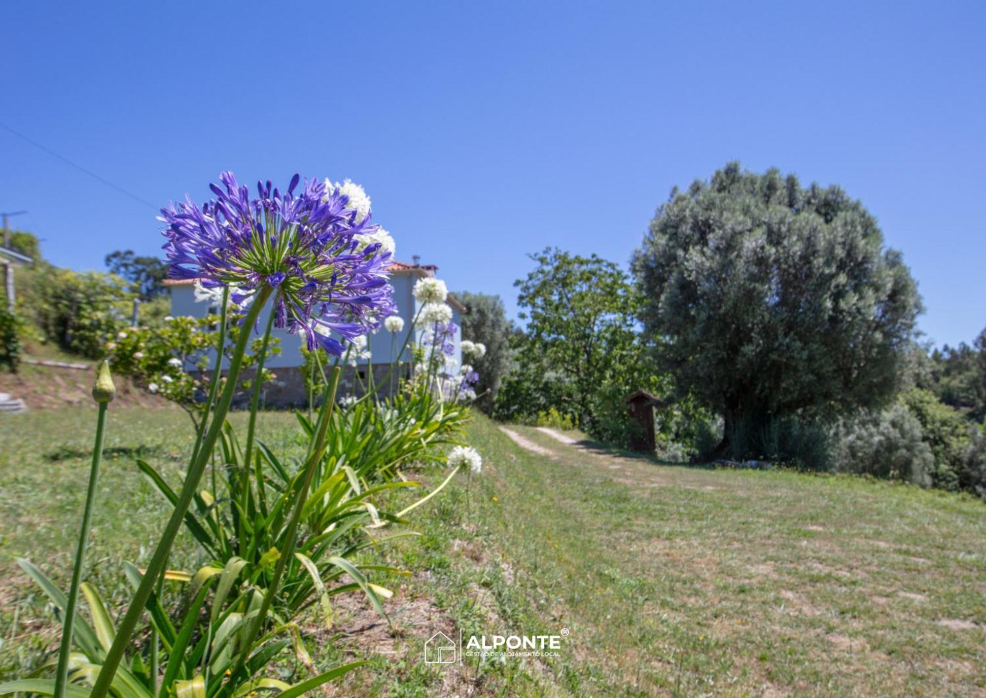 Quinta Da Costeira - Casa Azul Do Limoal By Alponte Villa Аркос де Валдевез Екстериор снимка