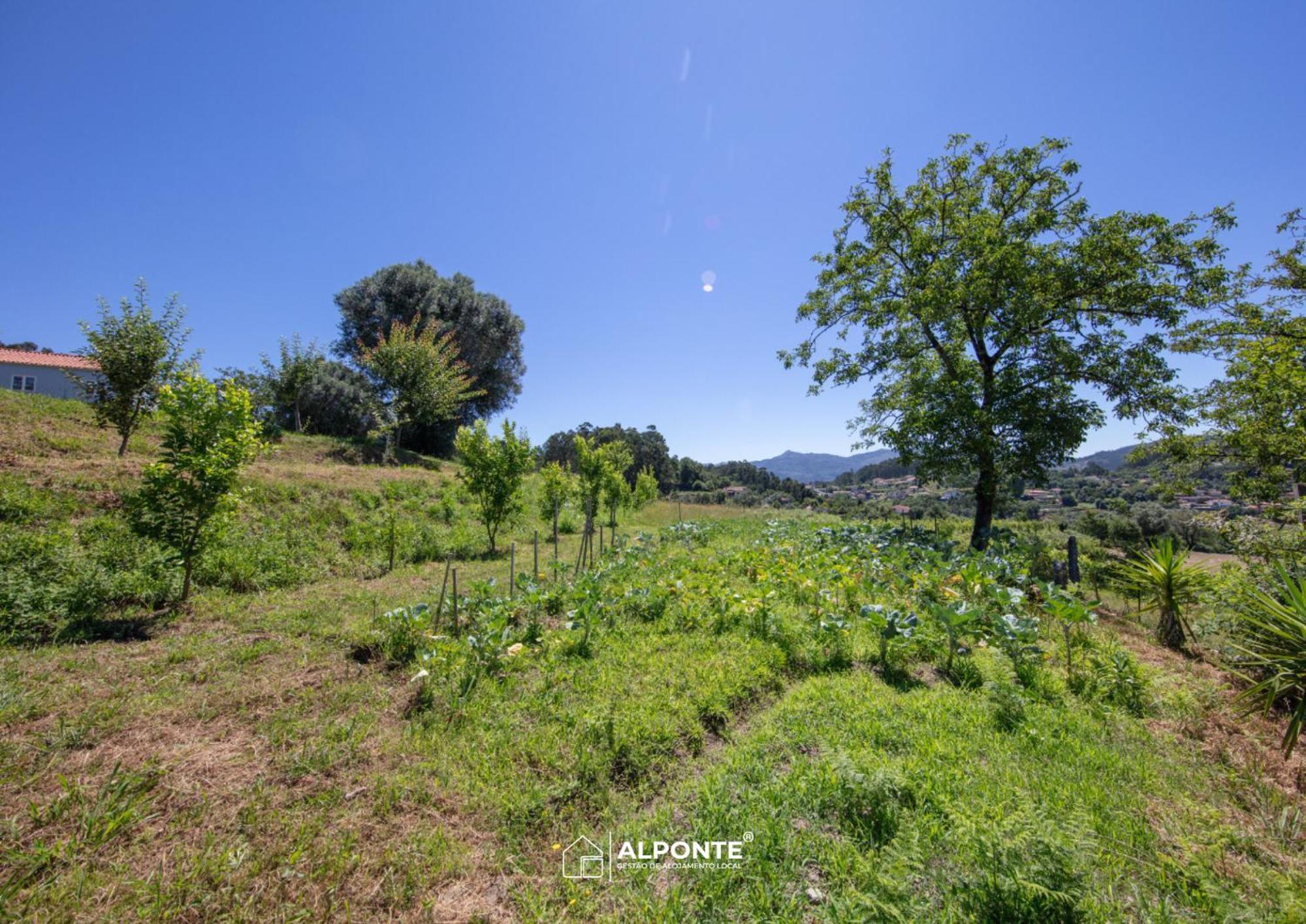 Quinta Da Costeira - Casa Azul Do Limoal By Alponte Villa Аркос де Валдевез Екстериор снимка