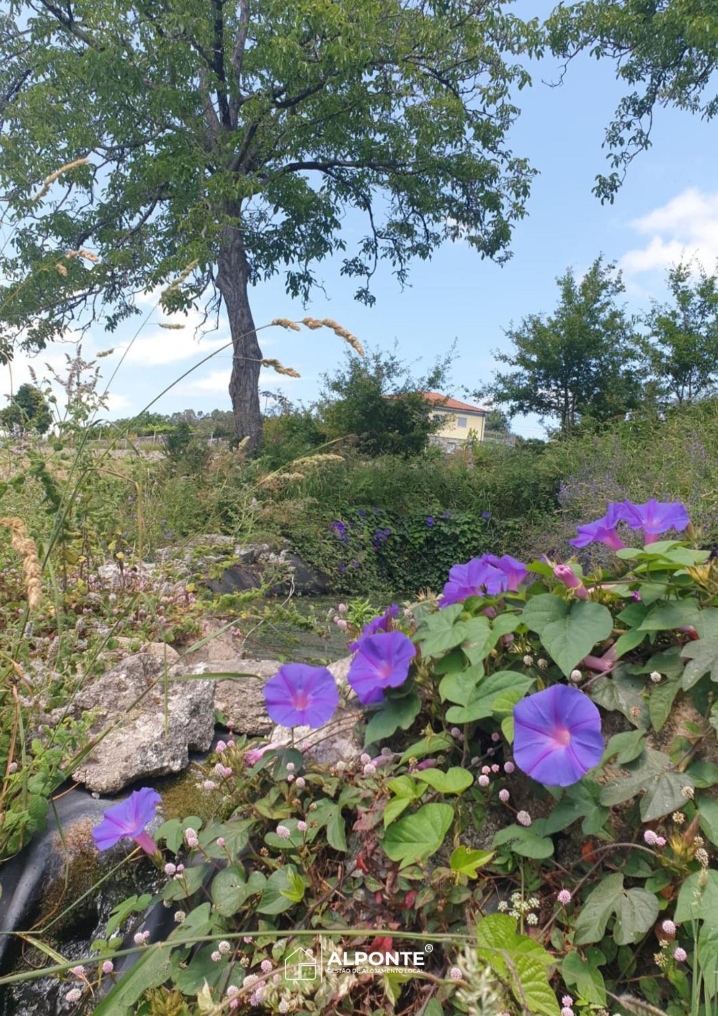 Quinta Da Costeira - Casa Azul Do Limoal By Alponte Villa Аркос де Валдевез Екстериор снимка