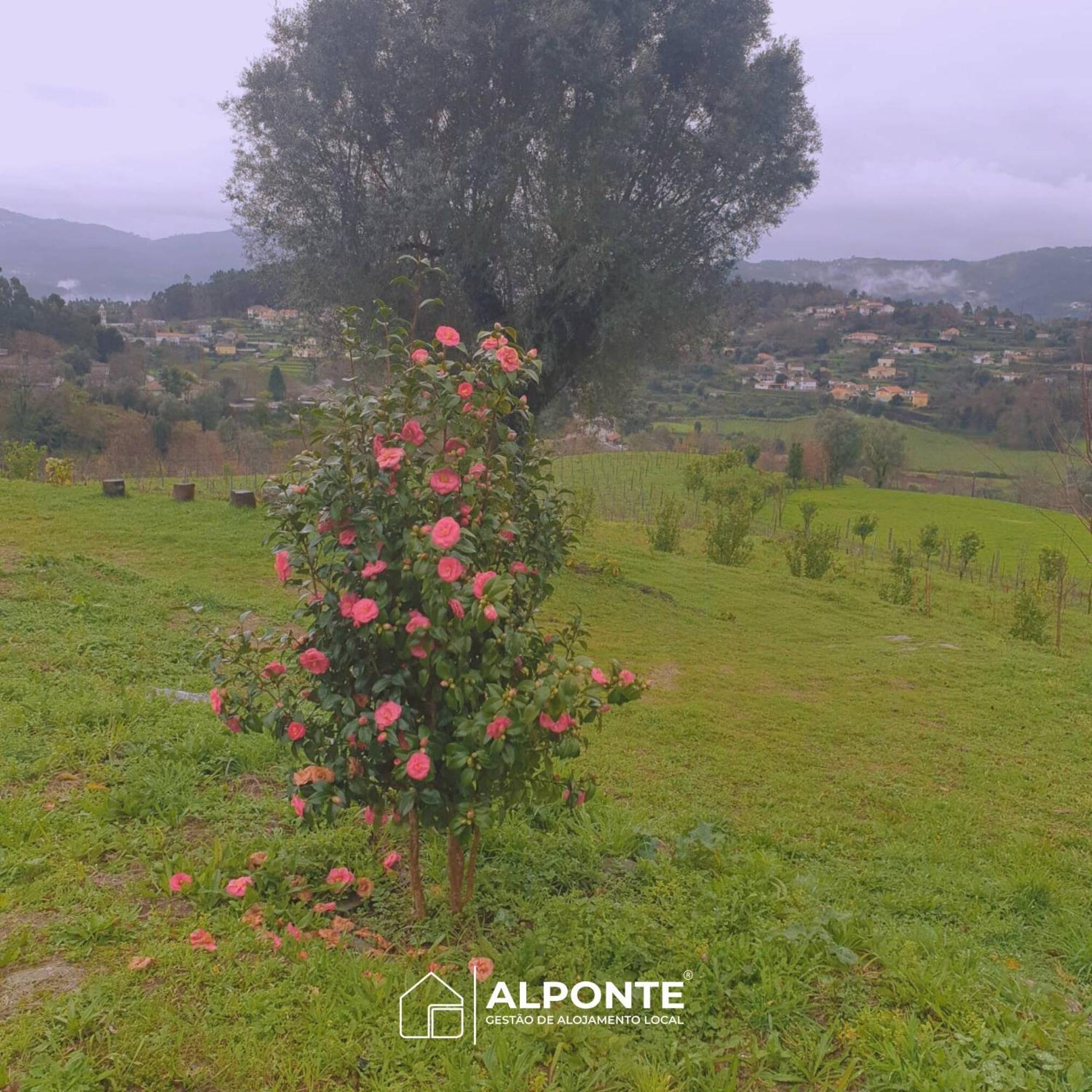 Quinta Da Costeira - Casa Azul Do Limoal By Alponte Villa Аркос де Валдевез Екстериор снимка